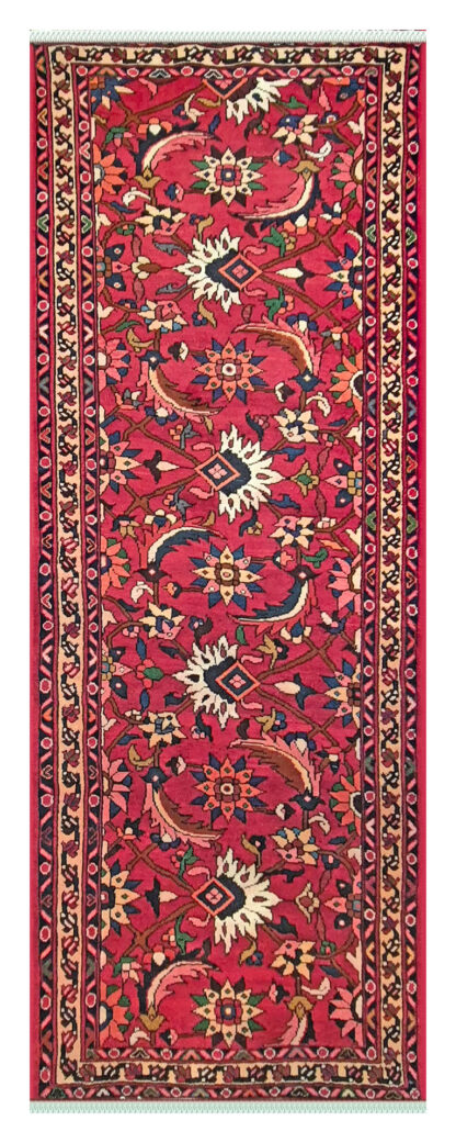 Persian Bakhtiyari - 3.00 x 1.10